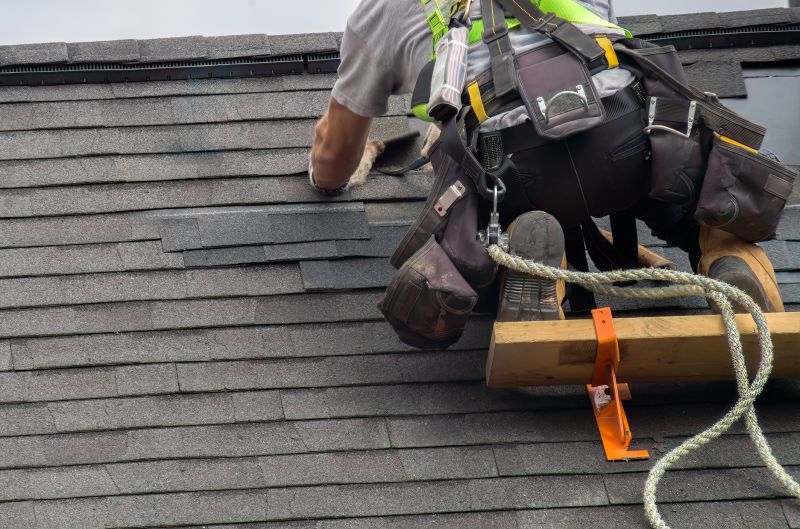 Specialized Roofing Services